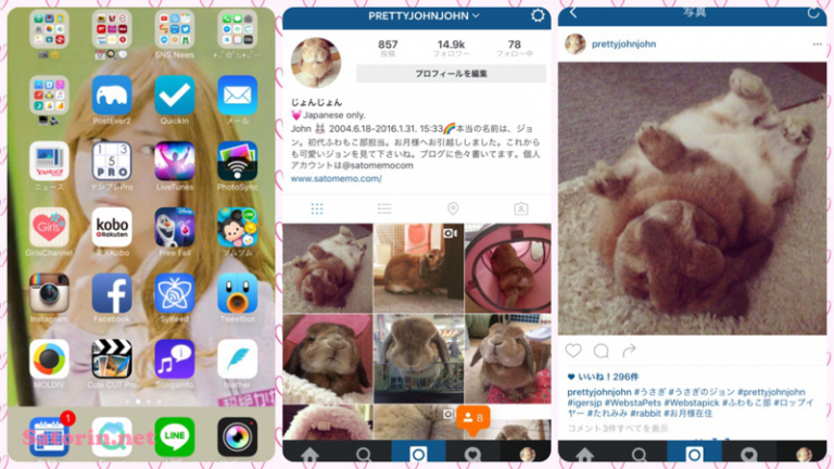 Instagramアプリアップデートとiphoneホーム画面 Satorin Net