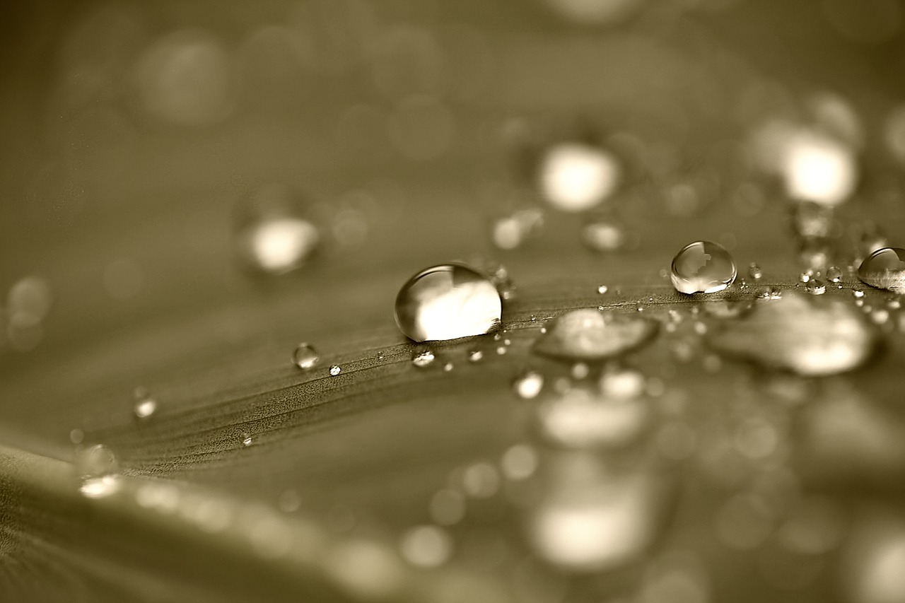 夏疾風 のカップリング After The Rain Sparkle 聴いてみたよ Satorin Net