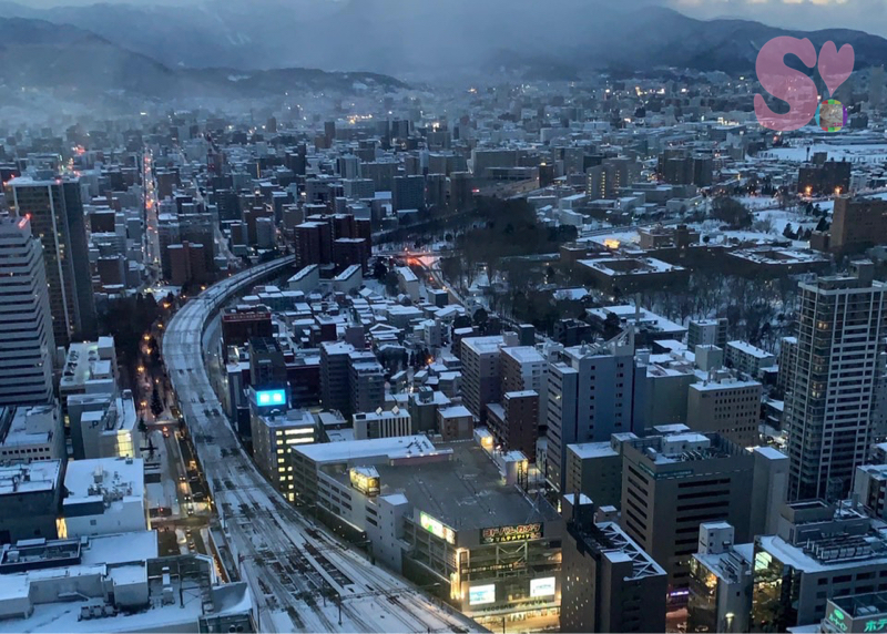 札幌の雪景色